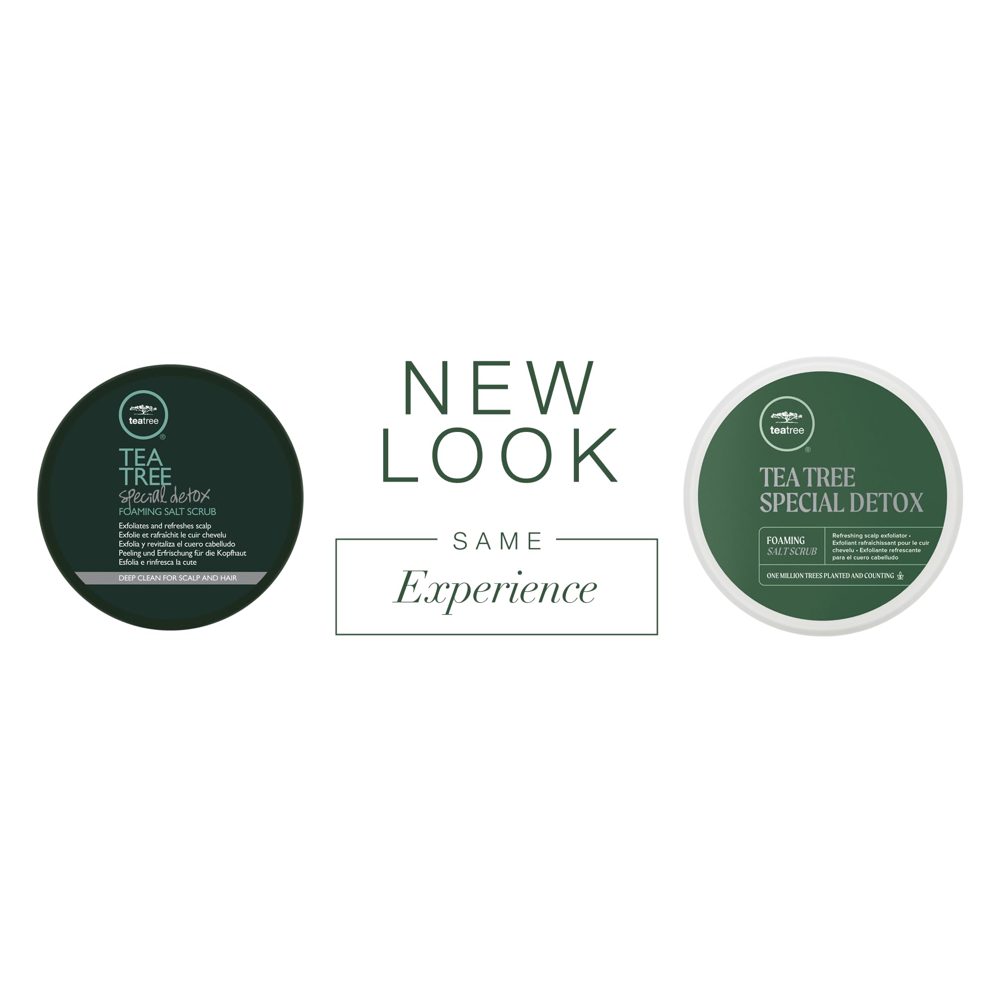 Tea Tree Special Detox Scrub foamy lather in a shower.