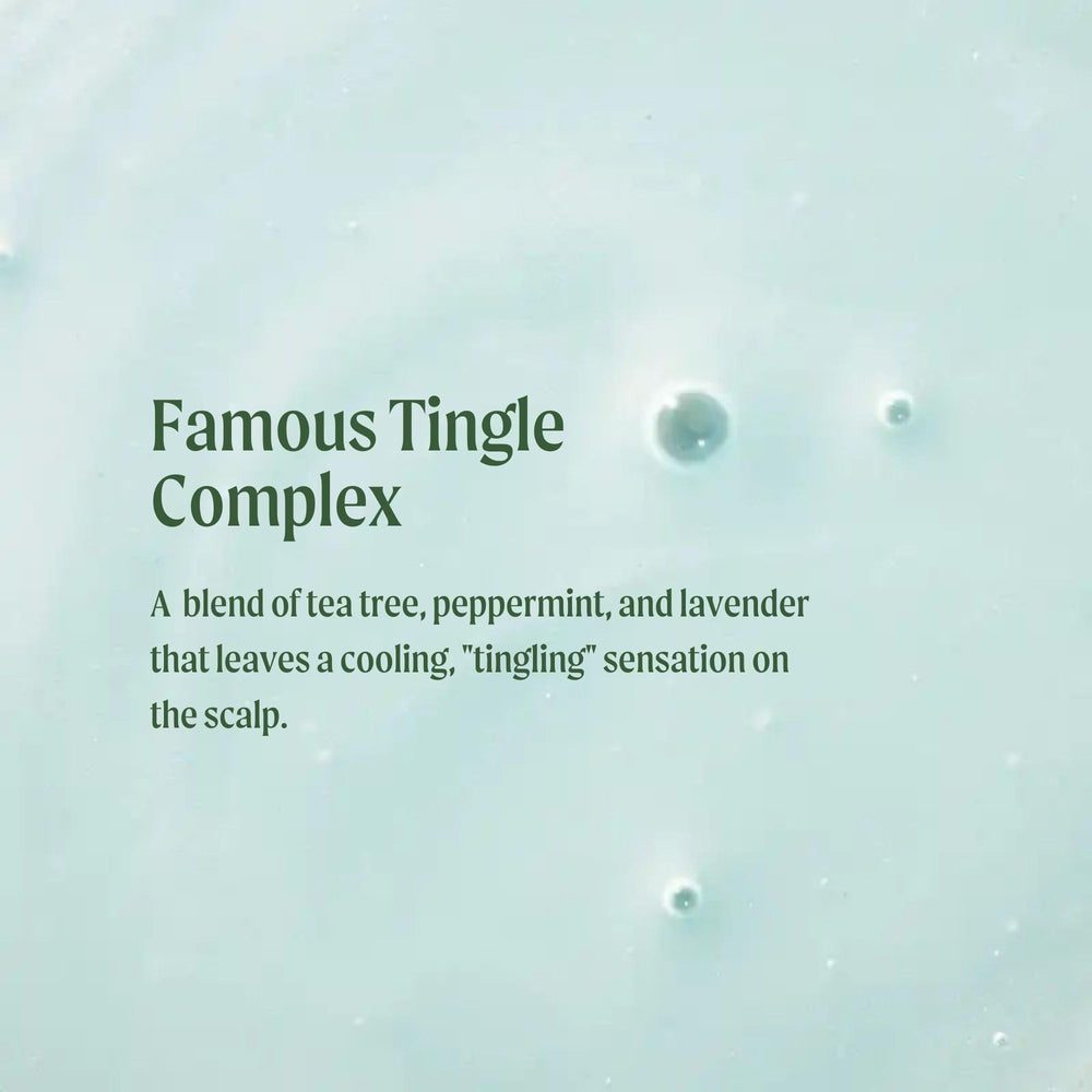 Tea Tree Special Shampoo fragrance infusion highlights tea tree, peppermint, lavender aroma.