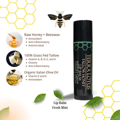 Terra Lotus bálsamo labial con aceite de oliva italiano para labios suaves