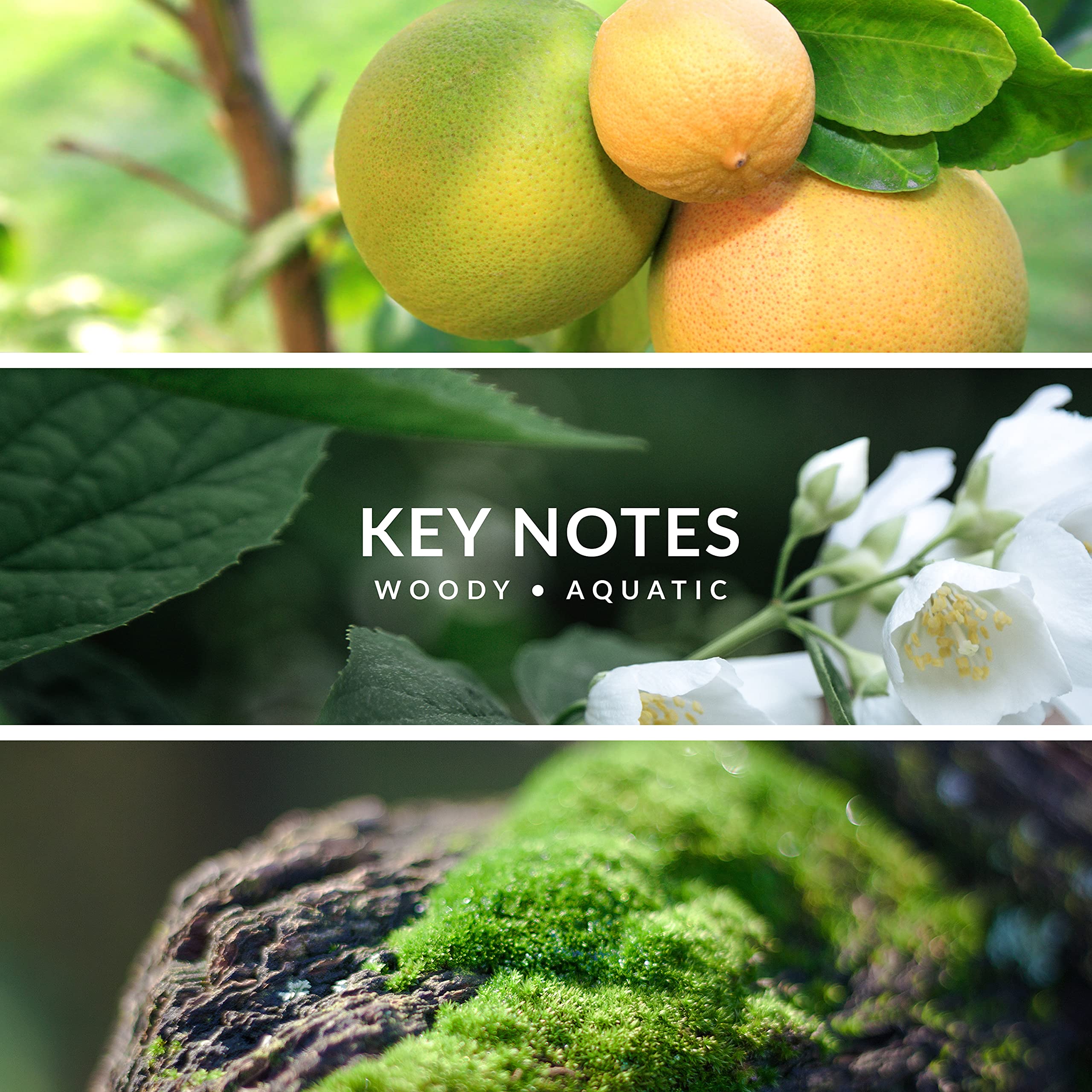 Territoire Platinum packaging closeup showcases refined design