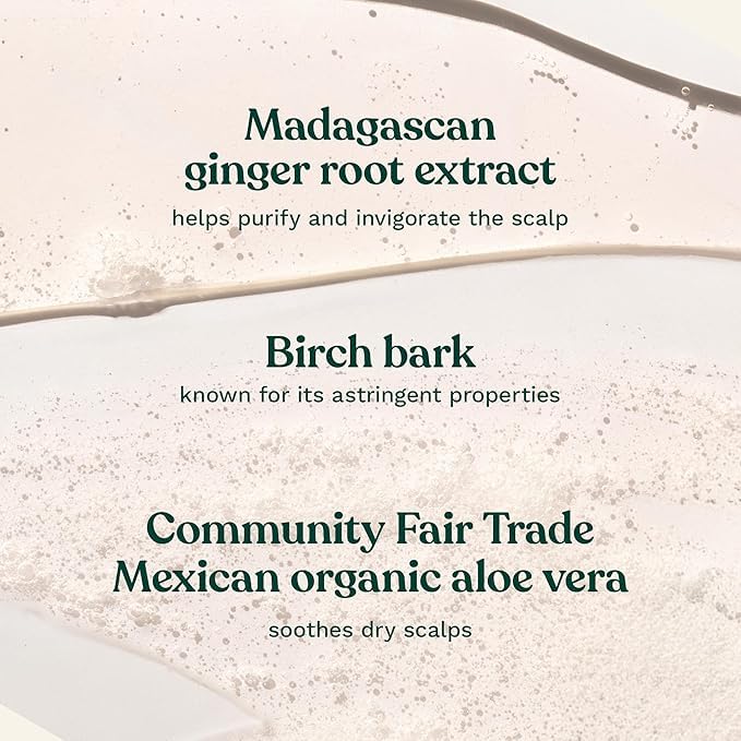 The Body Shop Champú Jengibre: aplicación suave en el cuero cabelludo consciente de la sensación de frescura.