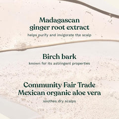 The Body Shop Champú Jengibre: aplicación suave en el cuero cabelludo consciente de la sensación de frescura.