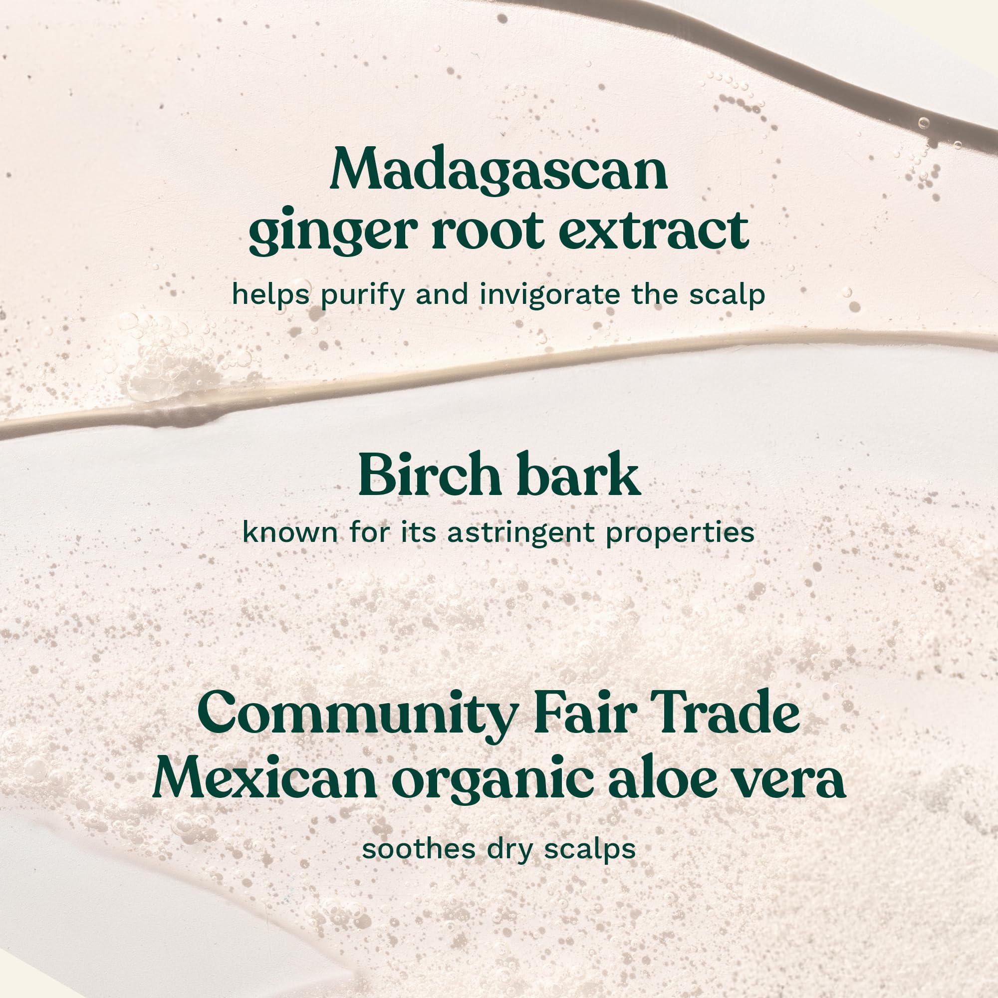 The Body Shop Ginger Scalp Care Shampoo, contiene jengibre y corteza de abedul para cuidado natural.