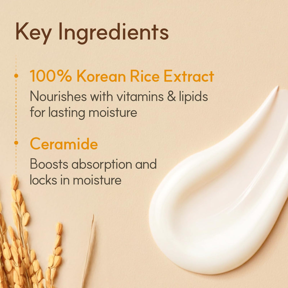 The Face Shop Rice Ceramide Cream se absorbe rápido para uso diario.