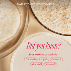 The Face Shop limpiador espumoso Rice Water Bright para limpieza profunda de poros.