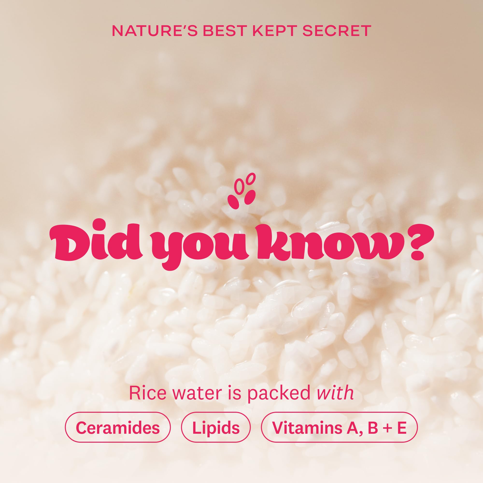 The Face Shop Rice Water Bright vitaminas A, B y E para piel nutrida