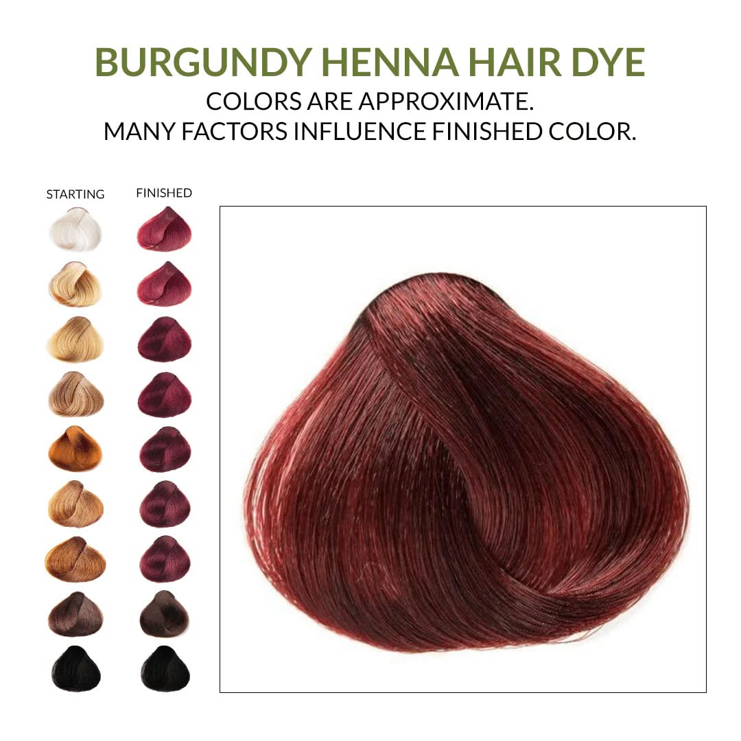 Beard coloring shot using The Henna Guys burgundy dye for subtle tone