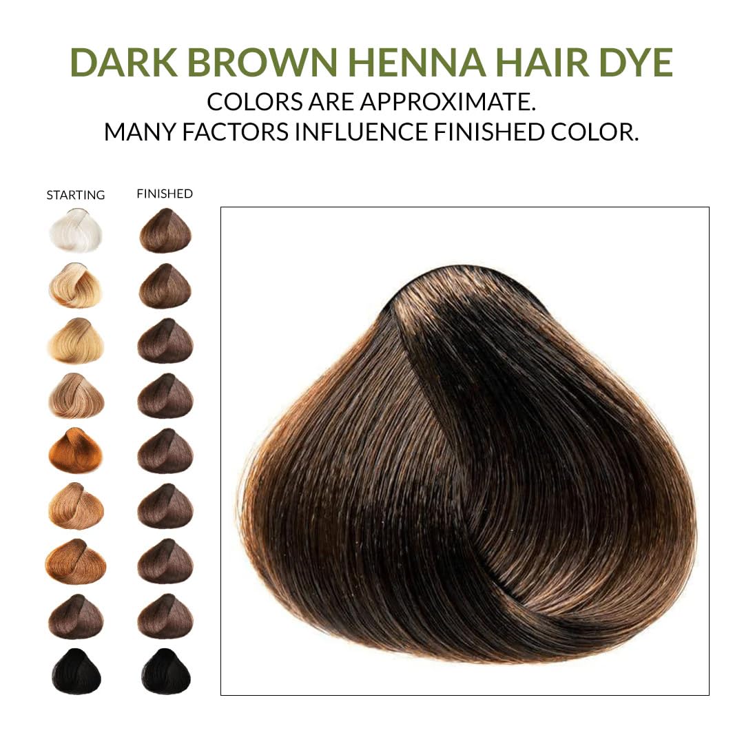The Henna Guys hair care dye process for plant-based coloring
