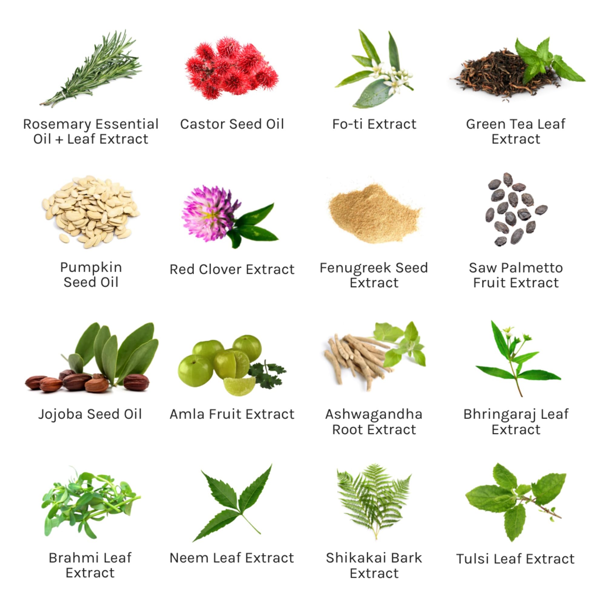 THE INNATE LIFE rosemary scalp ingredients close-up highlighting natural oils.