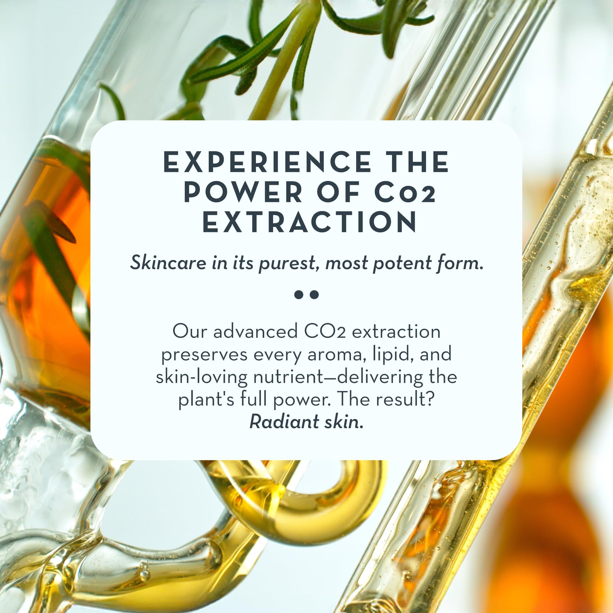 The Organic Skin Co.: aceite multifuncional para masajes faciales y dermaplaning.