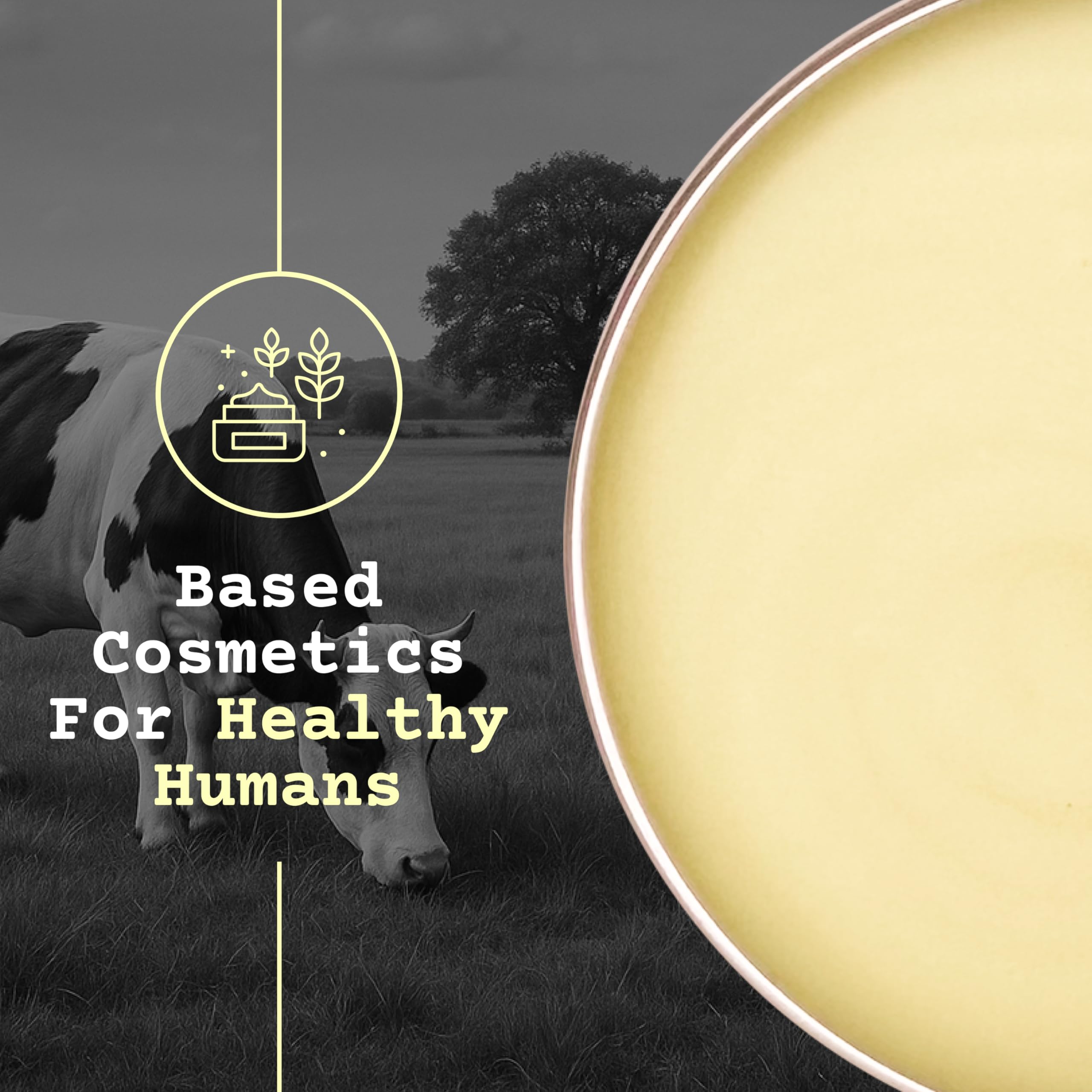 The Tallowed Truth F-Balm crafted in Canada for trusted quality
