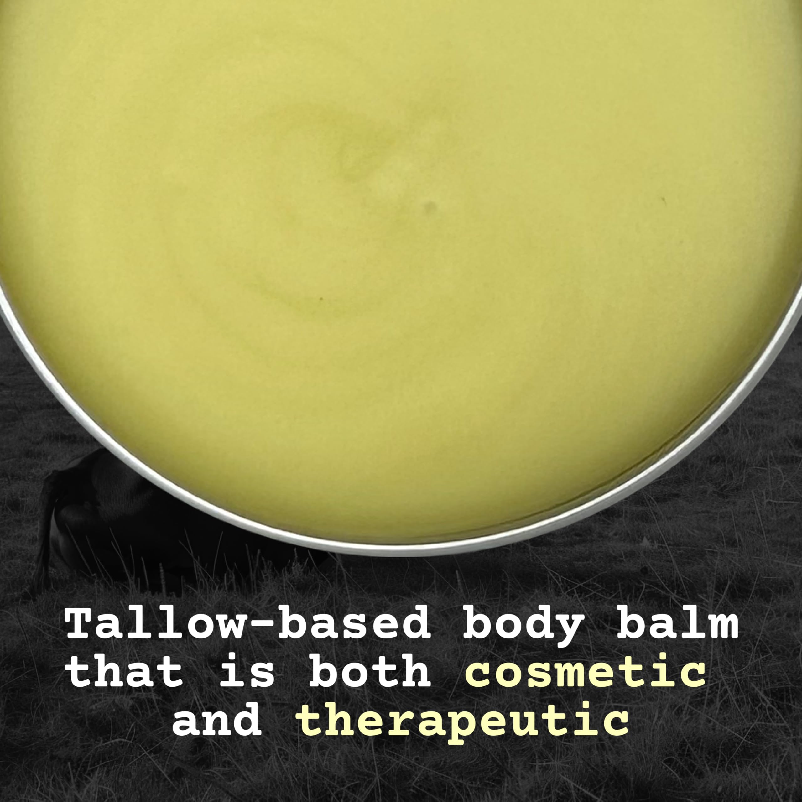 The Tallowed Truth F-Balm used as lip care on the lips.