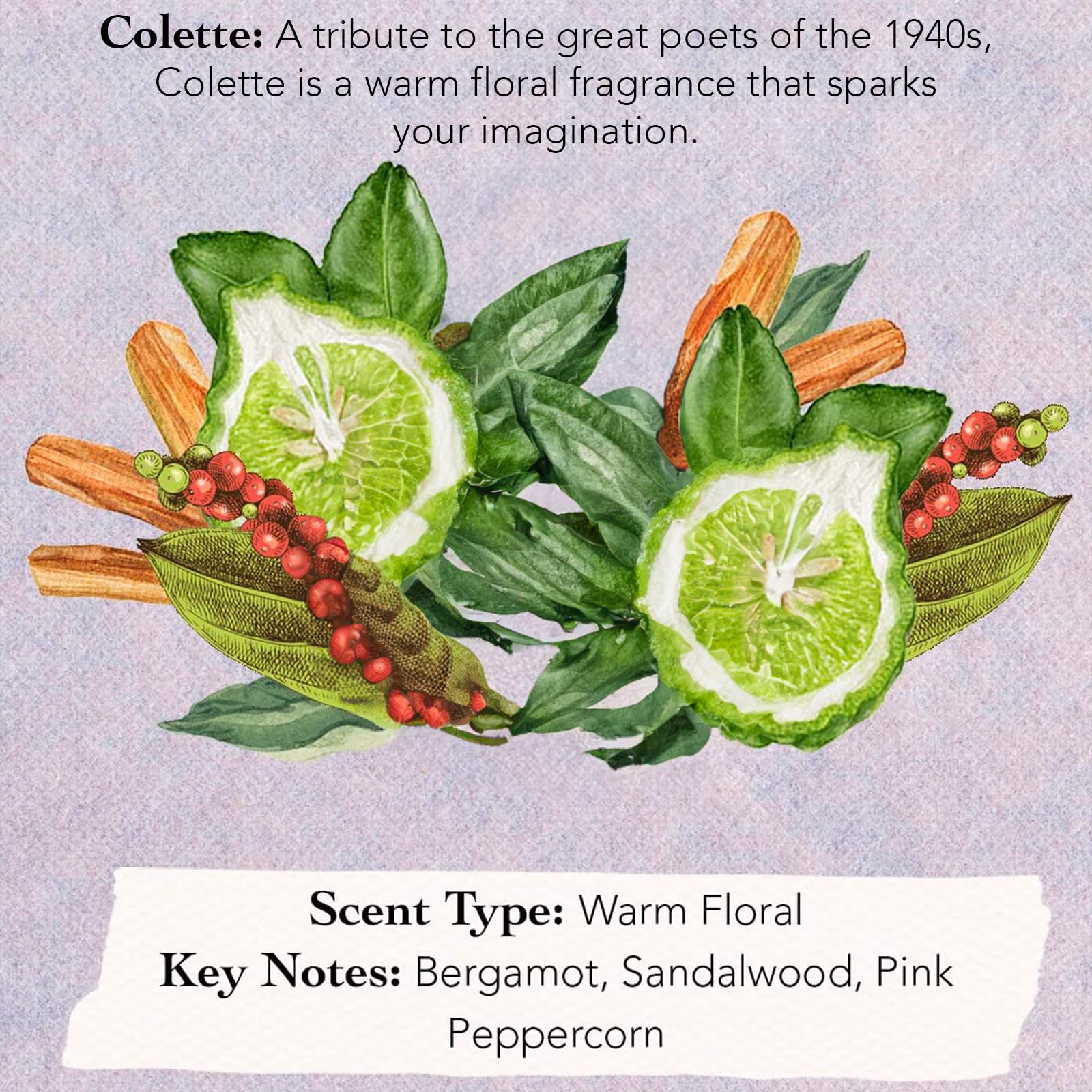 TOCCA Simone sampler bottle perfect for gift-ready fragrance discovery.