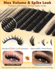 TOOCHUNAG 80D/100D pre-made clusters for voluminous eyes