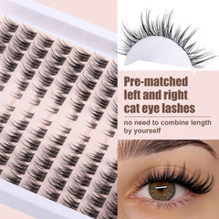 TOOCHUNAG DIY lash extension kit for quick at home cat eye results