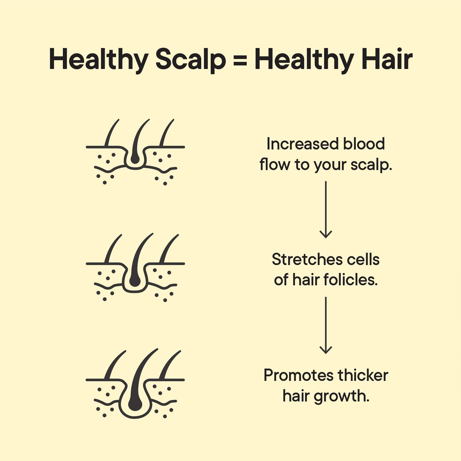 TOOLETRIES cepillo exfoliante todo-tipo-pelo: funciona con cabello seco o mojado.