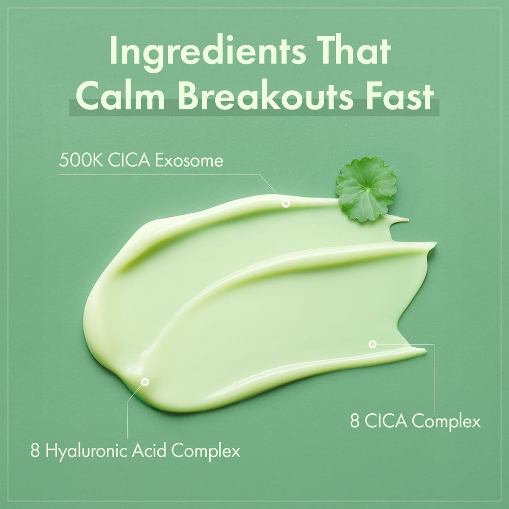 TOSOWOONG Exosome CICA packaging box showcases premium daily care.