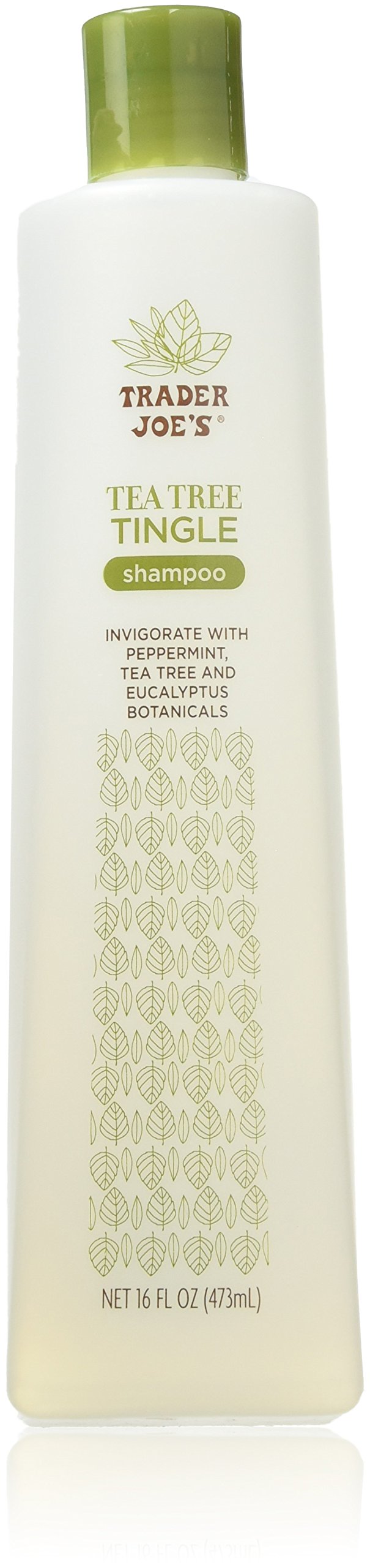 Trader Joe's Tea Tree Tingle Shampoo: botella de 473 ml con frescura y aroma revitalizante.