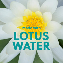 Tree Hut Lotus Water Wash ingredients include avocado, kiwi, and orange oils for nourishment.