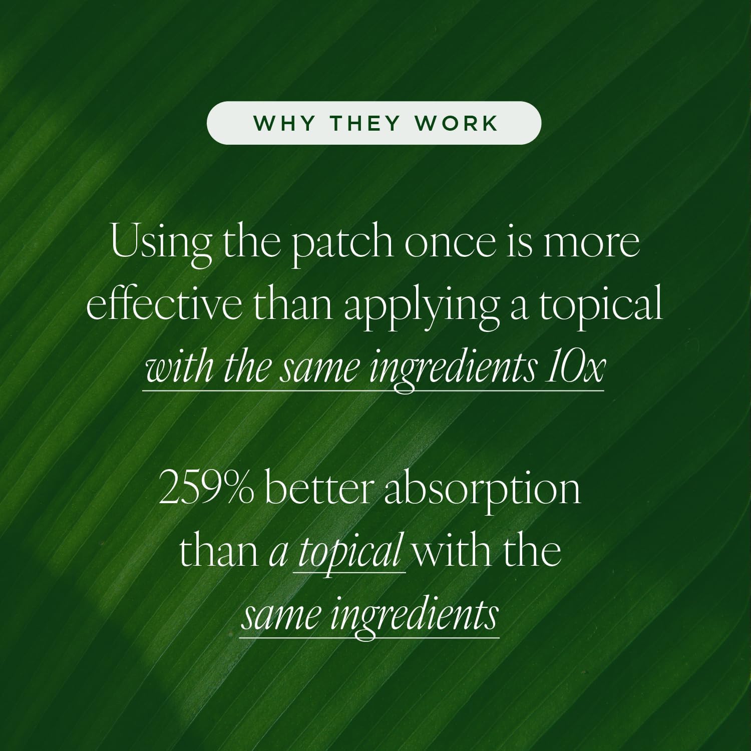 Tree of Life Beauty packaging image highlights cruelty-free and dermatologist-tested claims.