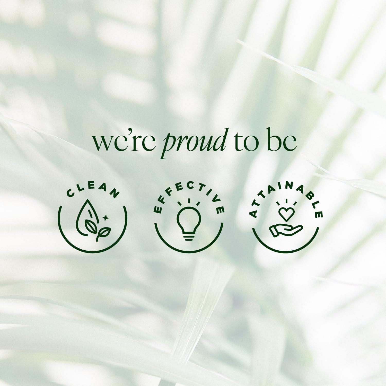 Tree of Life step-by-step application image illustrating morning routine