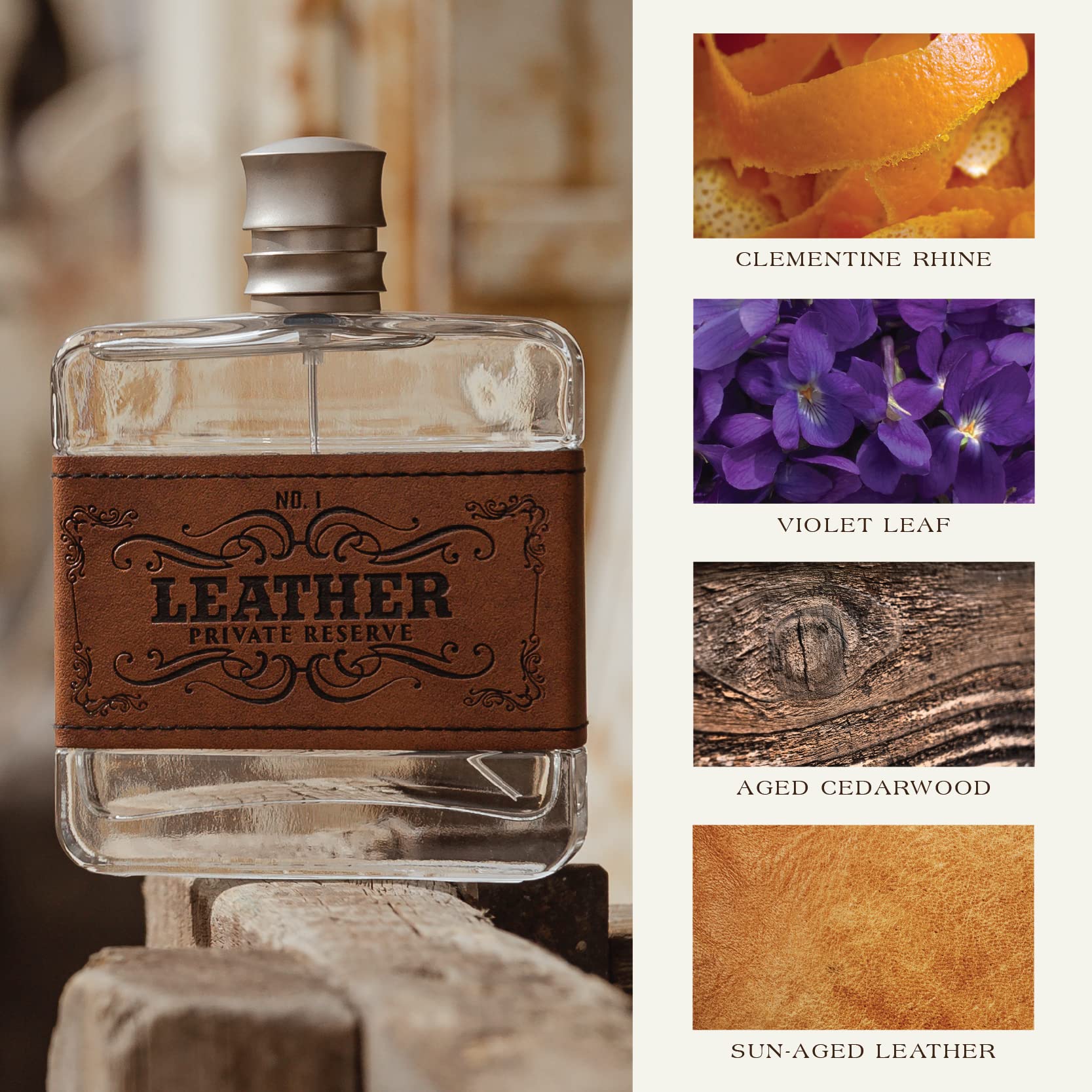 Tru Fragrance Beauty cologne spray moment captures a bold scent bloom.