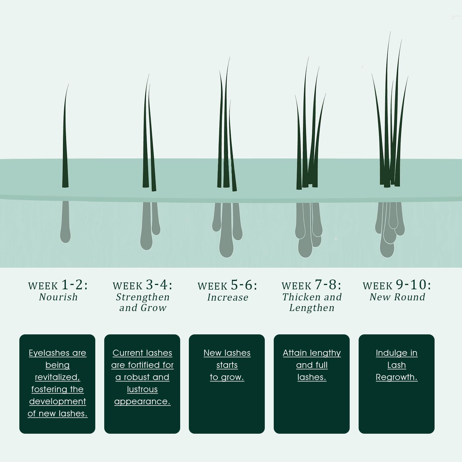 Close-up of brush applicator ready for precise lash-by-lash use