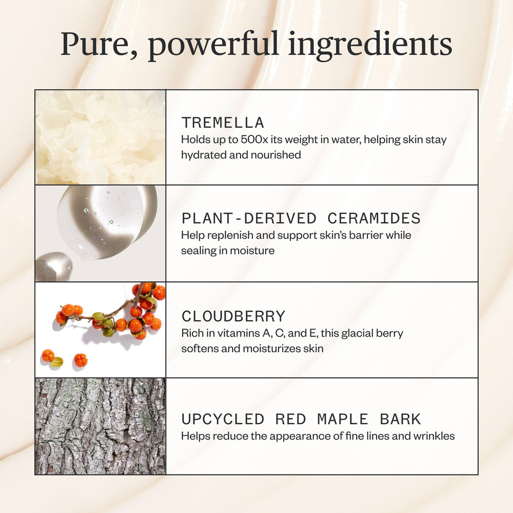 Close-up of Tremella Mushroom and Cloudberry ingredients in the cream