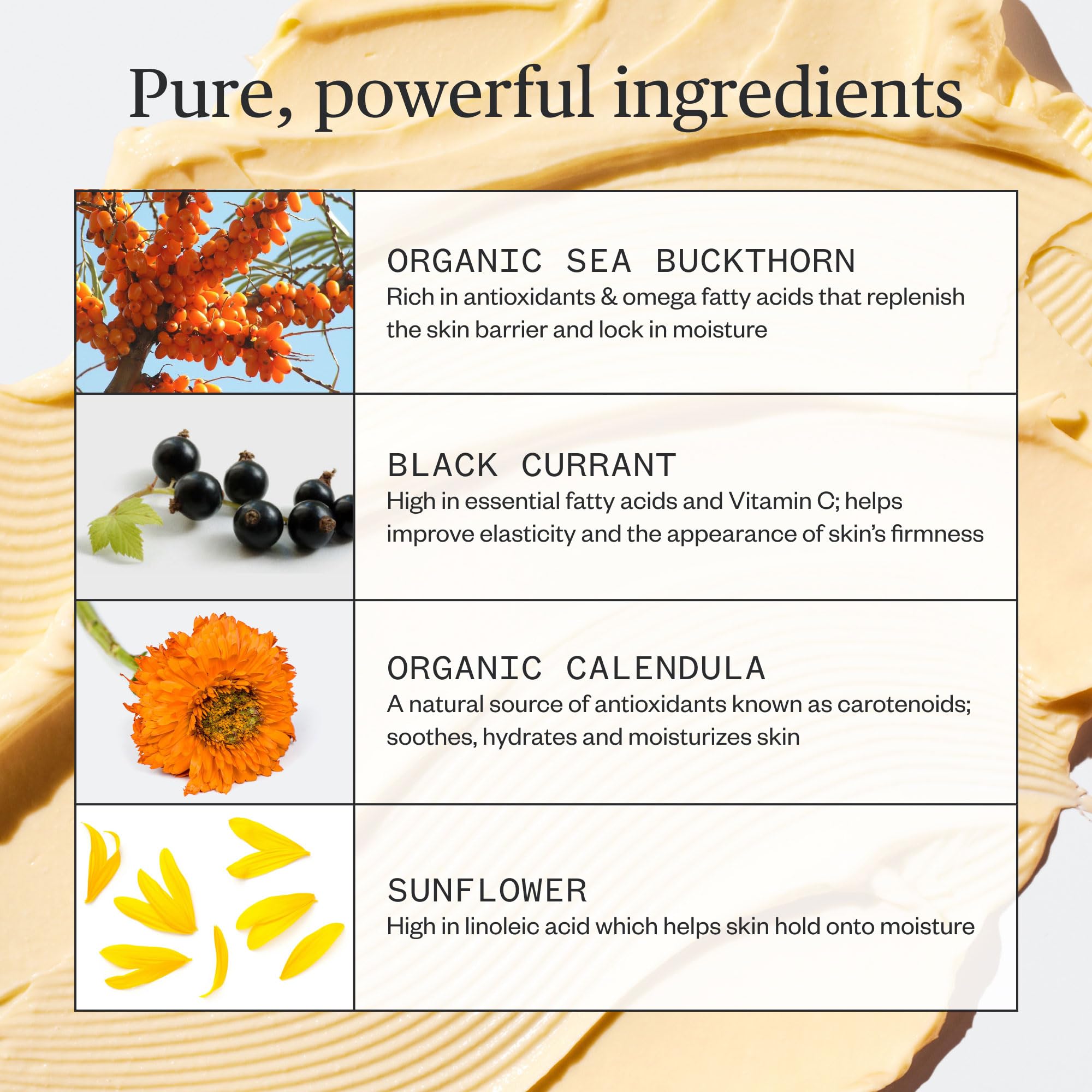 Ursa Major Golden Hour ingredient visual shows sea buckthorn and calendula antioxidant care.
