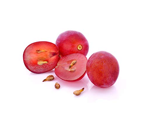 US Organic Grape Seed Oil ready for skin hydration and massage.