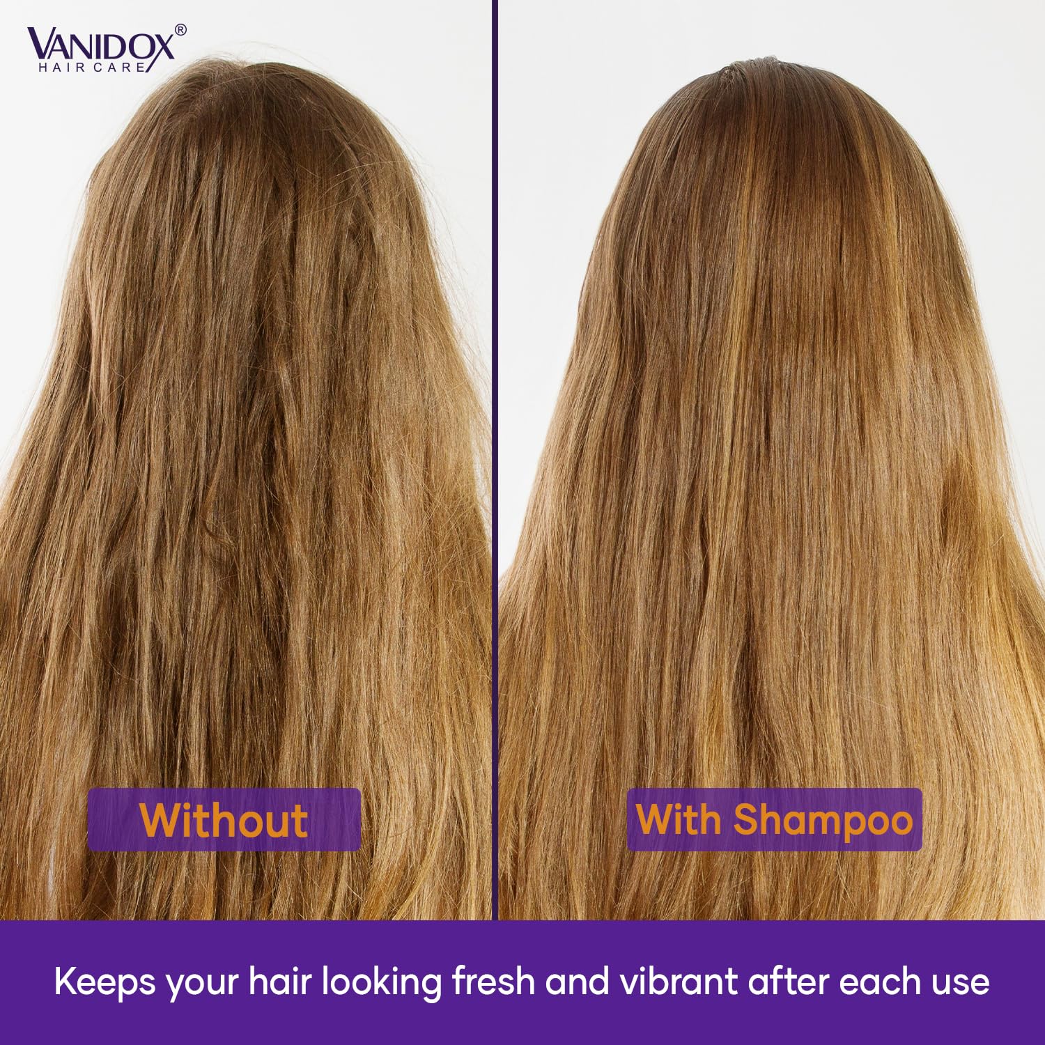 VANIDOX purple rice extract ingredient highlight supports color-rich results
