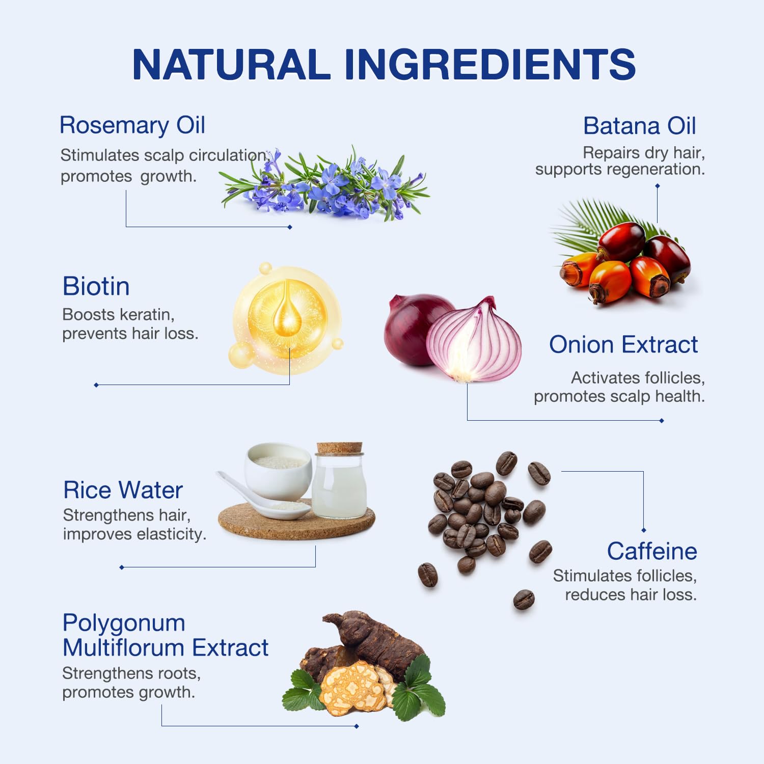 Venanoci ingredientes clave: romero y biotina para nutrición capilar.
