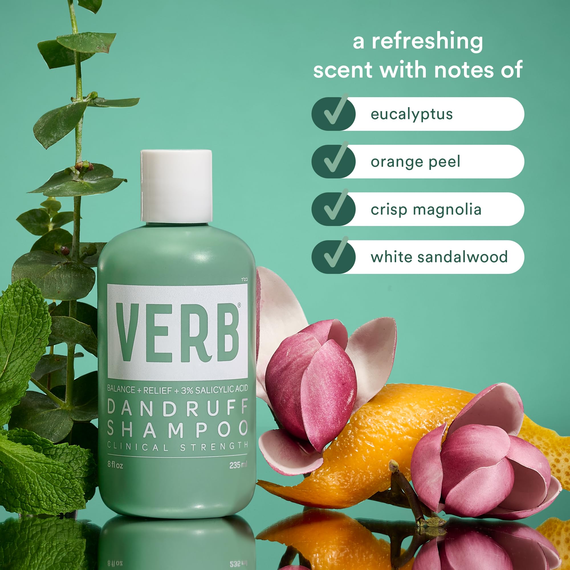 VERB Champú Anticaspa: ingredientes clave en ácido salicílico y cuidado.