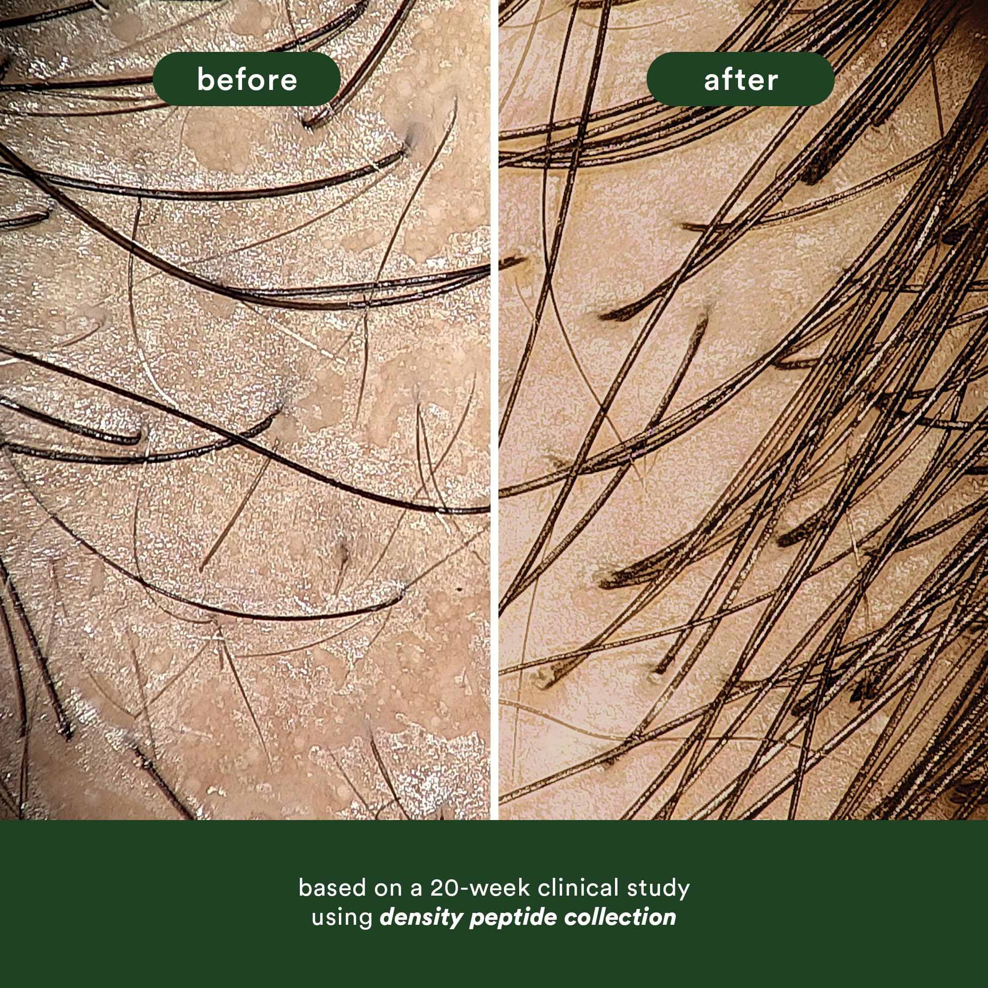 VERB Density Peptide Shampoo, cabello con mayor densidad visual.