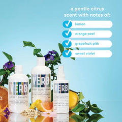 VERB Glossy Shampoo, brillo intenso, recomendado para cabello grueso.
