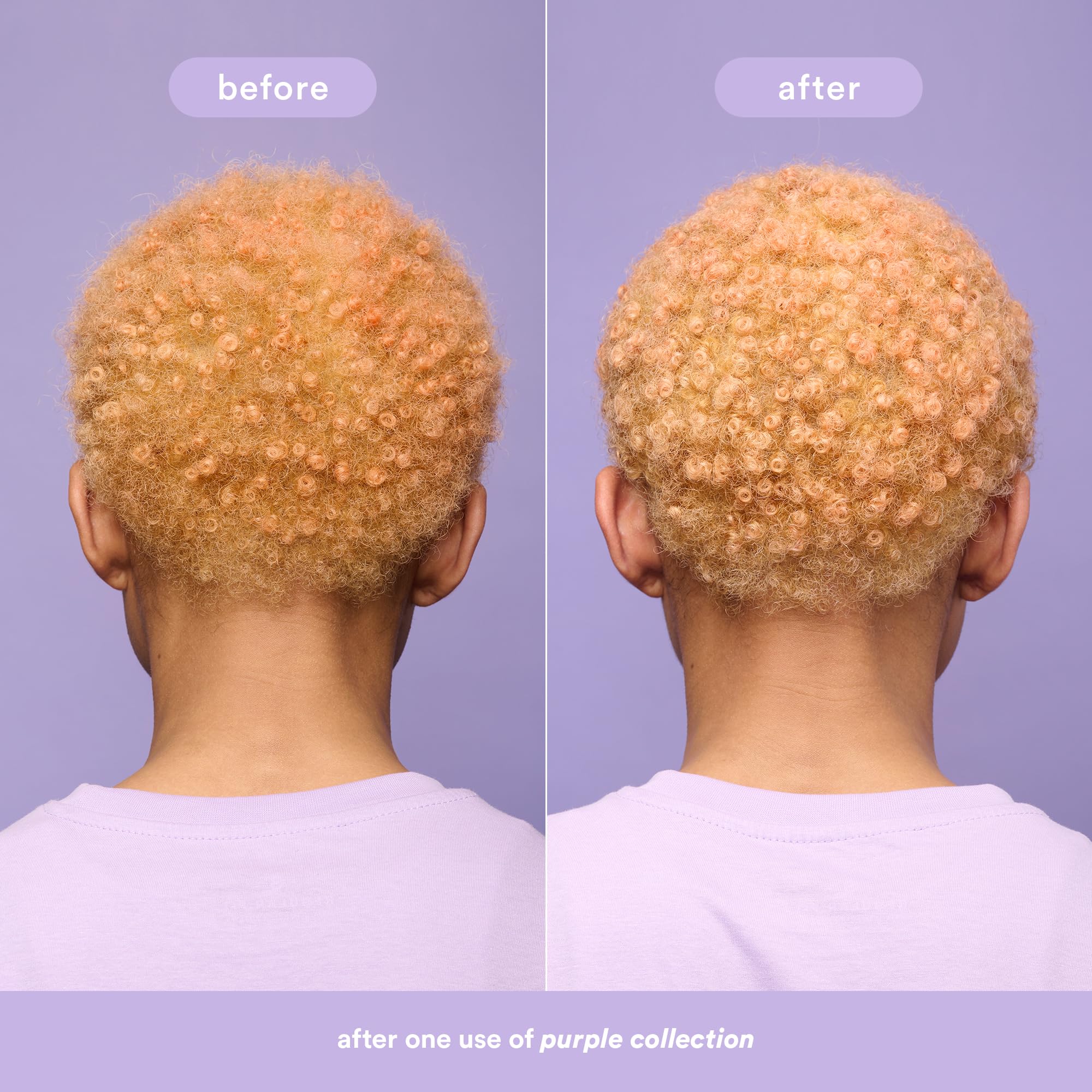 Sunflower Seed Extract in VERB Purple Mask contributing nourishment