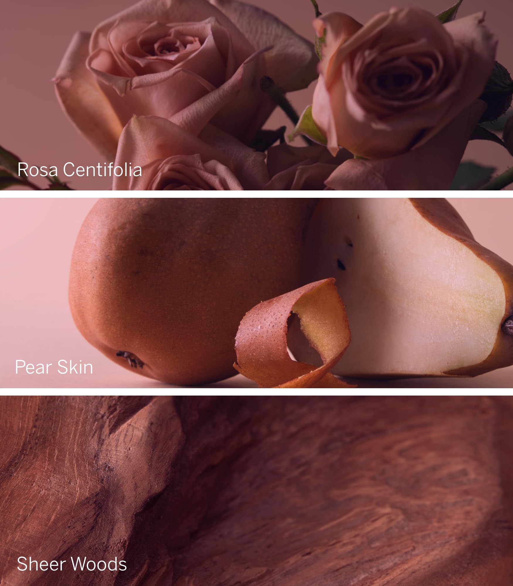 Bare Rose notes close-up showing pear skin and Rosa Centifolia