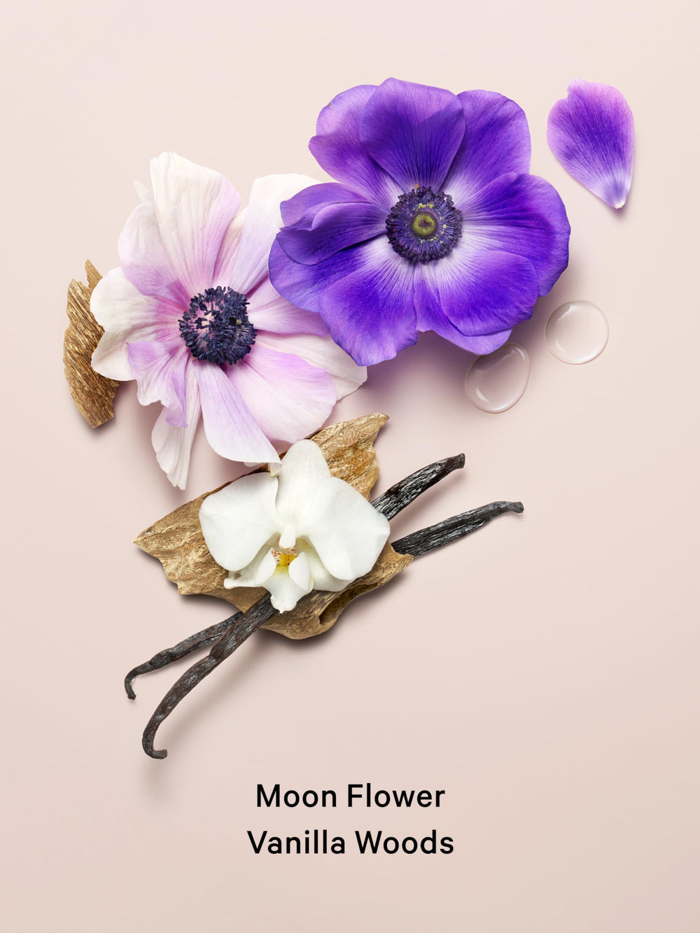 Victoria's Secret Midnight Bloom cream-woods note adds warm depth for evenings