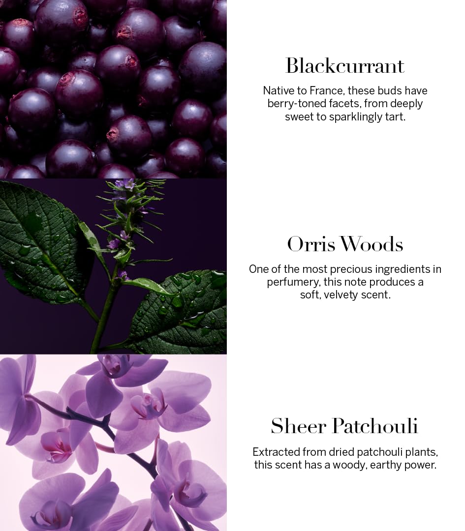 Victoria's Secret Very Sexy Orchid packaging reflects opulent gifting appeal