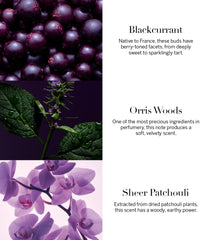 Victoria's Secret Very Sexy Orchid packaging reflects opulent gifting appeal