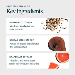 Aplicación en palma de la mano de VIRTUE Recovery Shampoo para una distribución homogénea.
