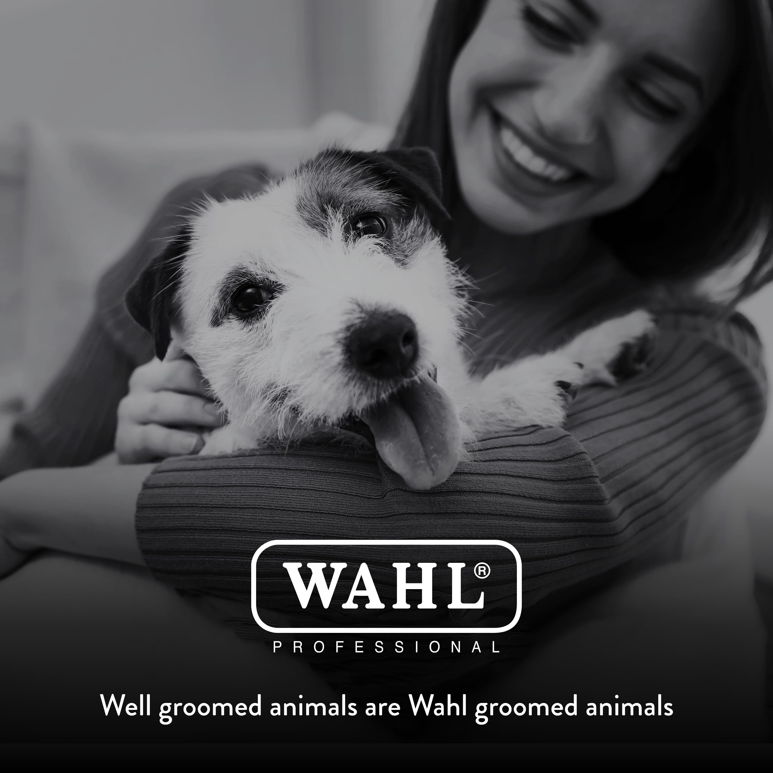 Wahl Arco cleaning brush and blade oil for maintenance.