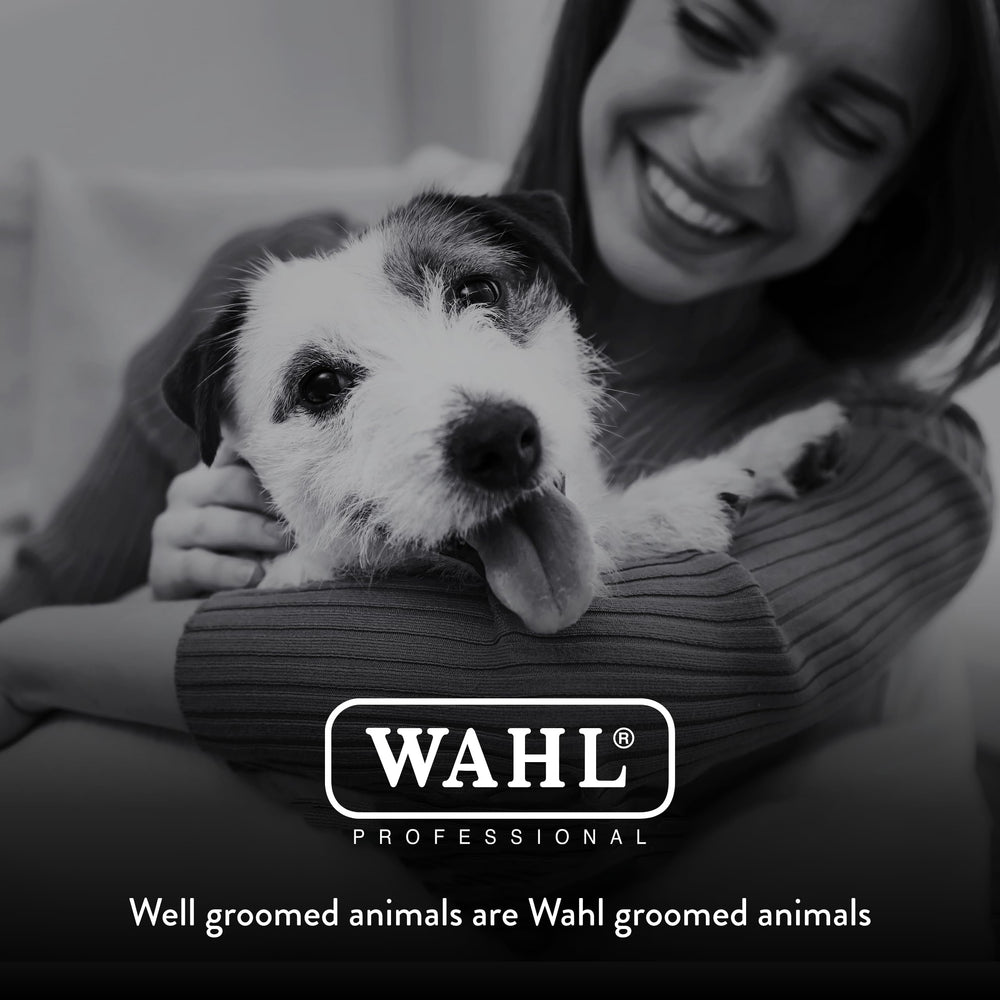 Wahl Arco cleaning brush and blade oil for maintenance.