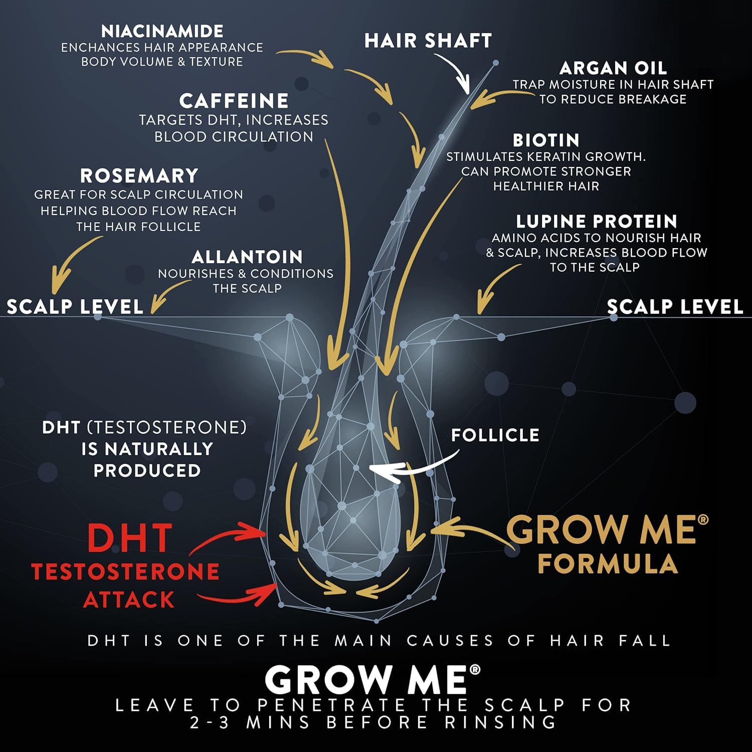 Aplicación en raíces con Watermans Grow Me Shampoo para revitalizar el cuero cabelludo.