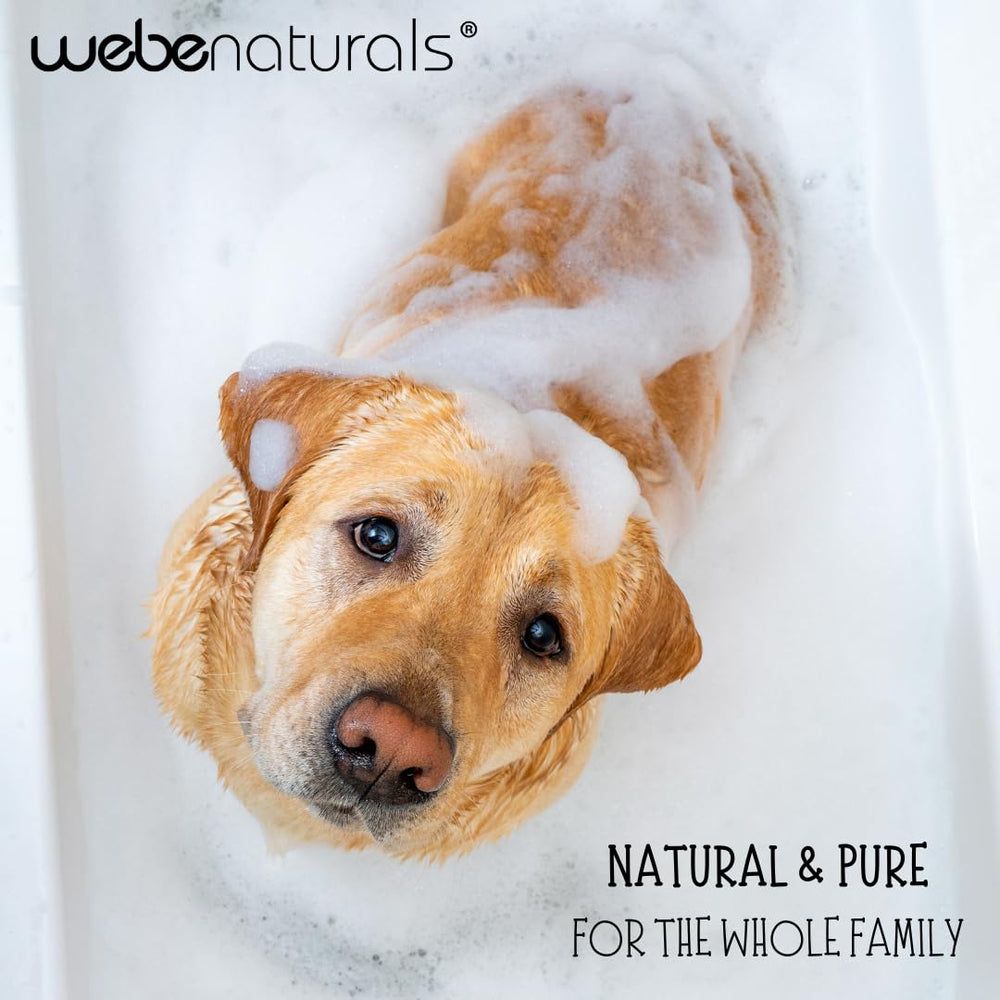 WEBE Pure Recarga ecológica para reducir residuos.