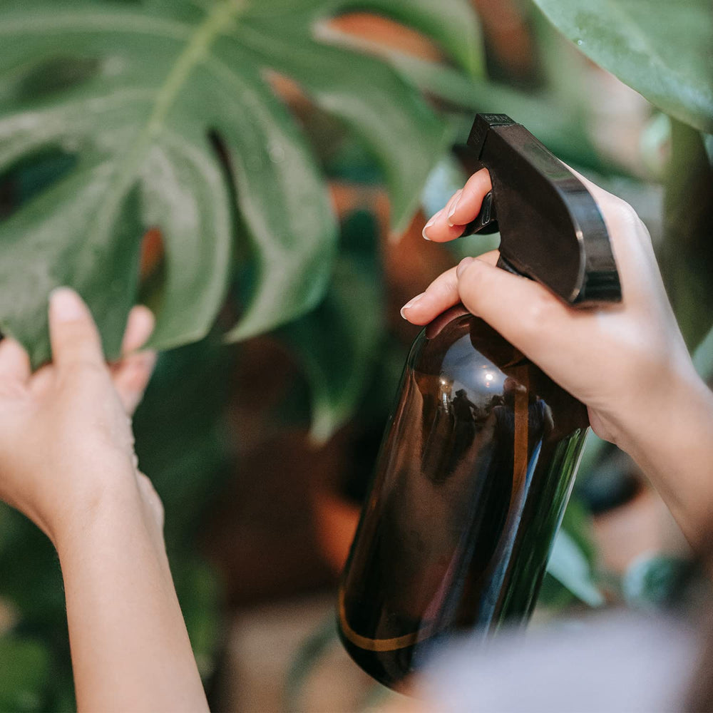 Wedama glass spray bottle in daily home and DIY tasks.