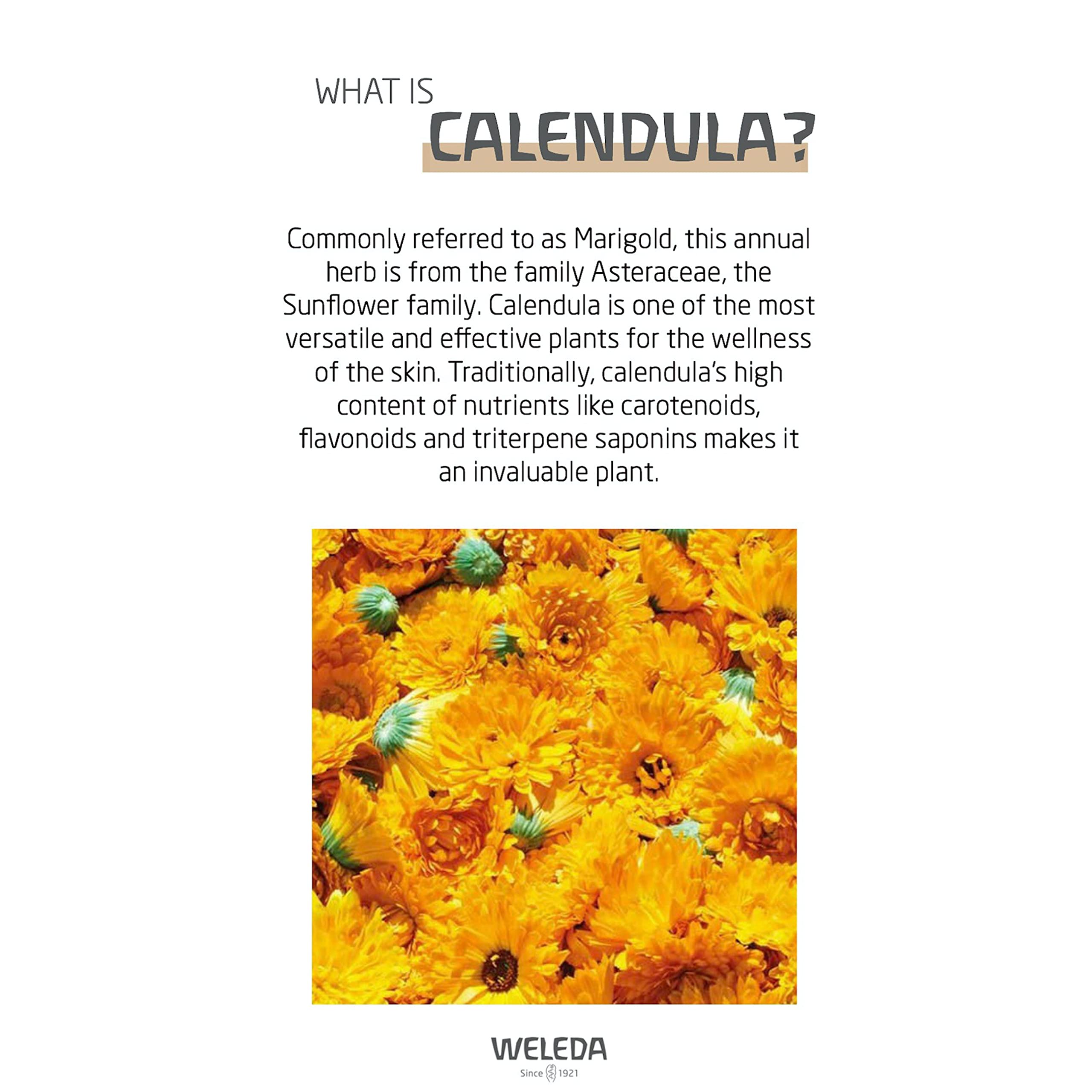 Envase de 73 ml de crema Calendula Weleda para cuidado diario.