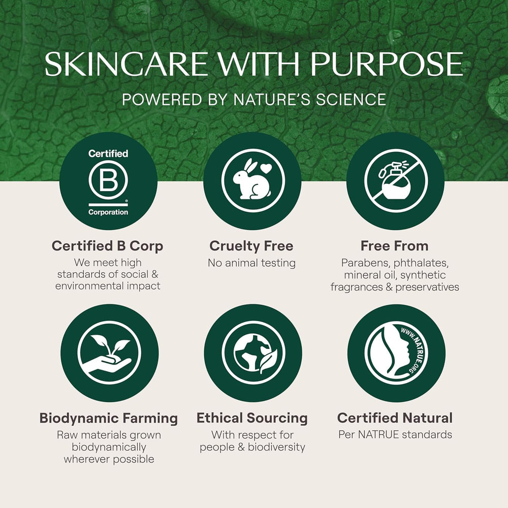 Weleda Skin Food Night Cream with Cica on calming botanical imagery