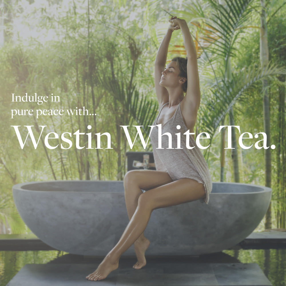 Textura de absorción rápida de Westin White Tea Aloe para piel seca.
