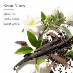 Nutrición de piel con aloe y té blanco en Westin White Tea Aloe.